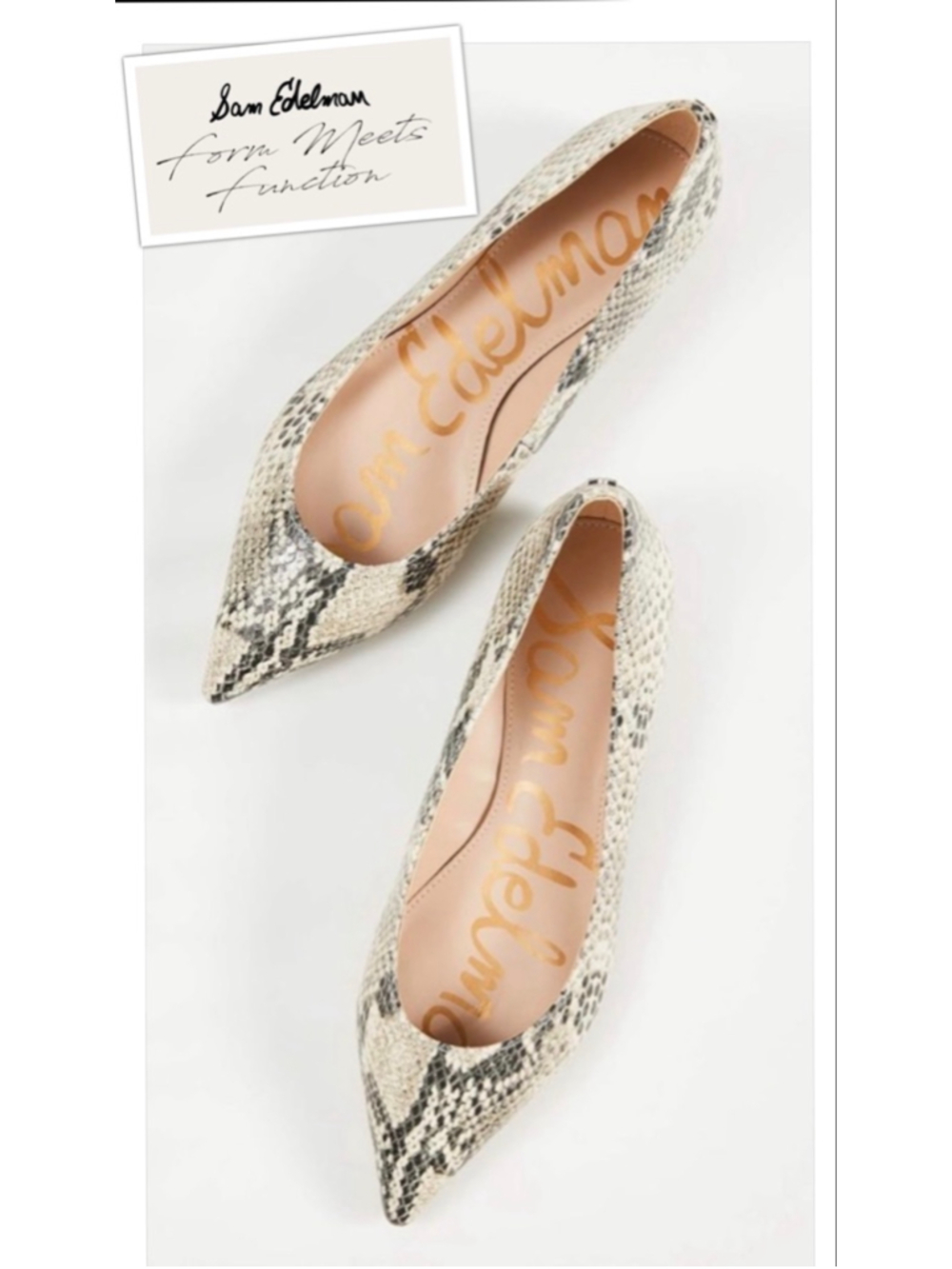 Sam Edelman Pointed Toe Snake-Print Flats in Beige and Black